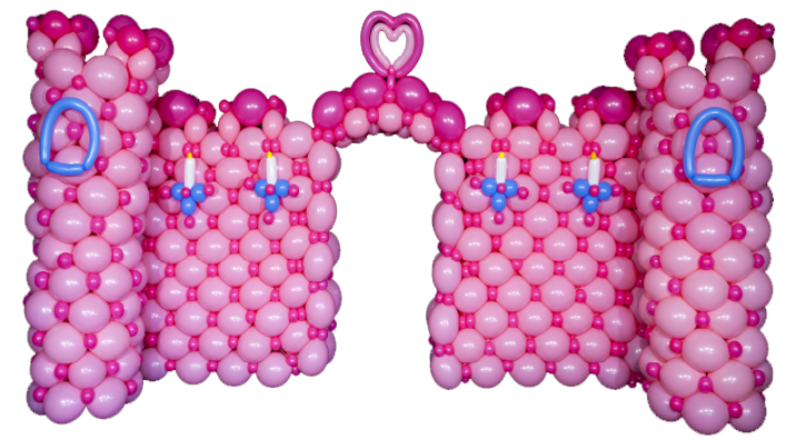 Balloon Art Online - Online Balloon Courses & Tutorials